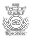 Tripadvisor travellers choice icon