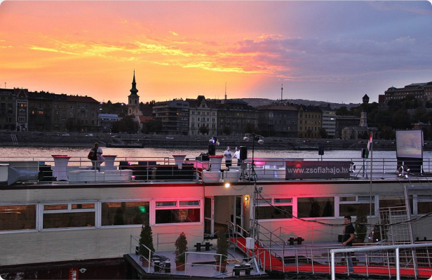 The Party Boat image