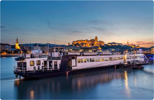 Party Boat image